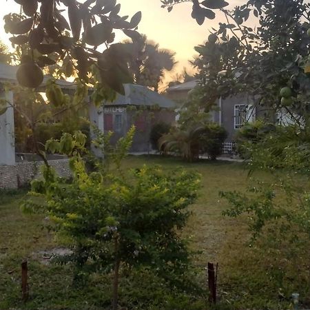 Unique Owl Apartments Sanyang المظهر الخارجي الصورة