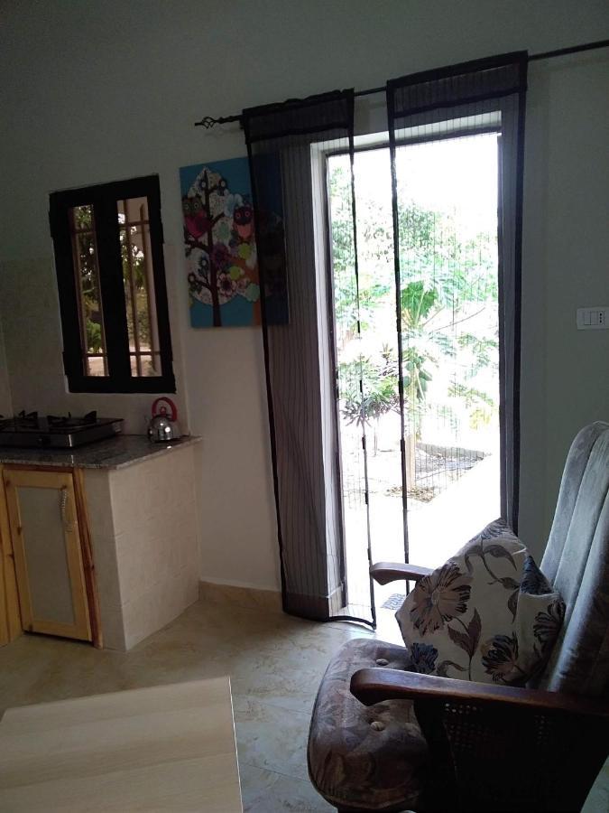 Unique Owl Apartments Sanyang المظهر الخارجي الصورة