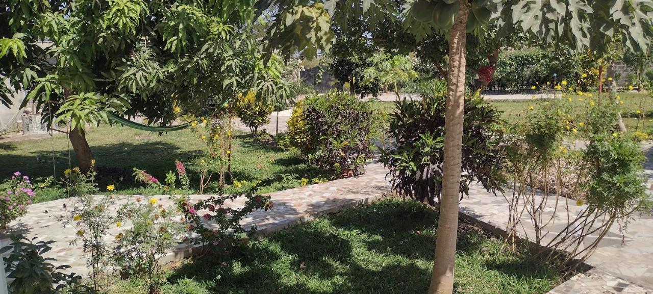 Unique Owl Apartments Sanyang المظهر الخارجي الصورة